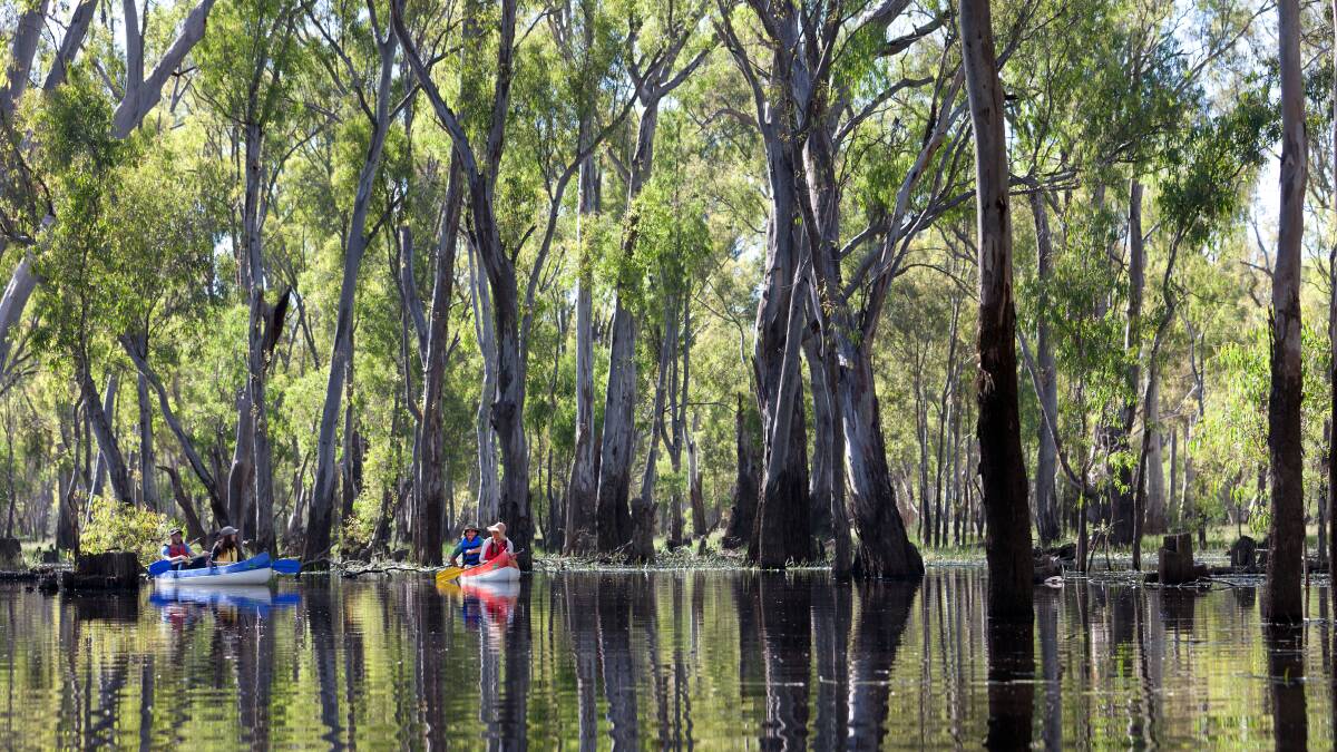 Visitor numbers to the Murray Valley National Park are low despite amazing scenic attractions in the red gum forests. 