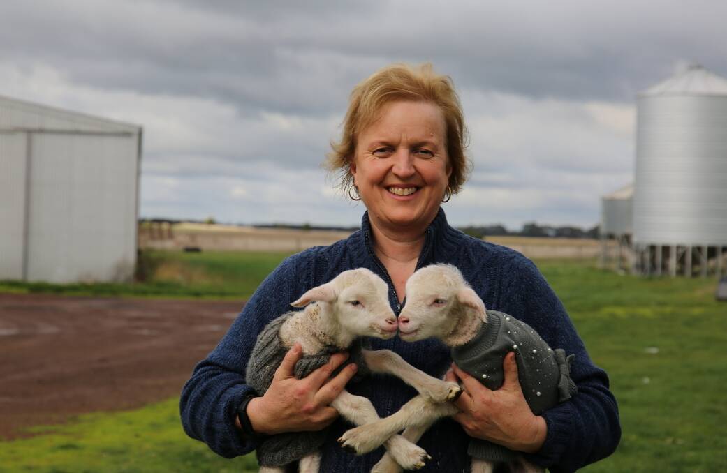 ONLINE: Croxton East mixed producer Tracey Kruger (@tracey_kruger) has taken to Instagram to share her lambing experience with the online world. 