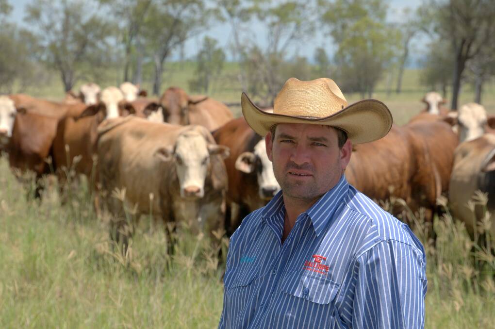 Will Wilson, Calliope Station, Calliope, who is AgForce’s cattle board vice president, is calling for more cost-effective lay pregnancy testing across Queensland. 