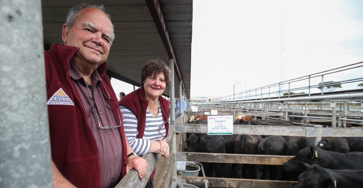 Rewarded: Andrew and Alison Anderson of "Rossander" Warrnambool averaged $1072 for 85 steer calves they sold. Picture: Amy Paton