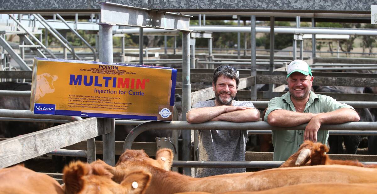 Best presented: Paul Martin, left, of Yambuk won the prize from Virbac for the best presented cattle, presented by Kieran Johnson of Landmark. Picture: Amy Paton