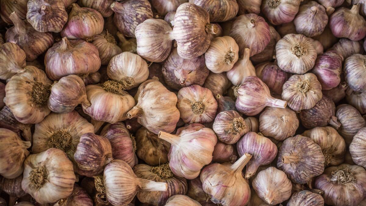 YEAR ROUND: The Australian garlic industry has adopted a strategic plan which includes better informing the Australian market about year-round access to home-grown product.