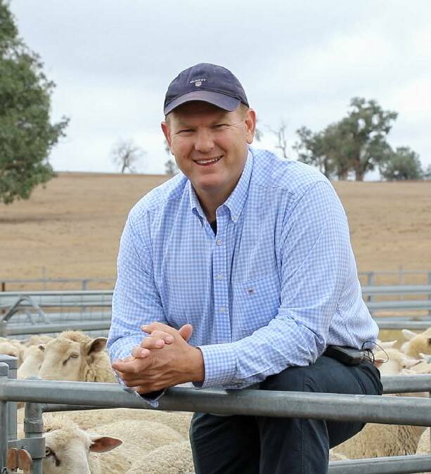 TRIPLE TACTICS: Sheep consultant Jason Tromp says ewes that conceive triplets are potentially some of the most productive animals in a sheep flock.