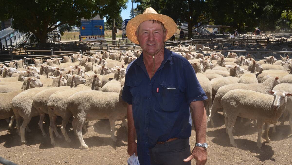 Francis Deane, Nagambie, with a pen of 200 June-July 16 drop ewes scanned as carrying multiples, sold to account Don and Geoff Younger, Morundah, NSW.