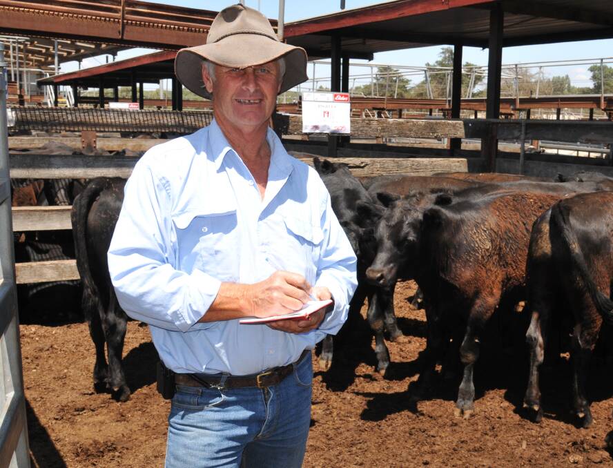 Tim Haworth, Jingella, Mortlake,sold 19 steers, 296kg, at 340c/kg at Hamilton.