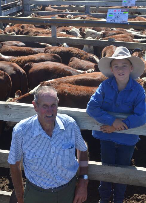 HEIFERS offered at “joinable” weights attracted strong inquiry selling to 339c/kg at the Elders and Landmark Combined Heifer Weaner sale at Casterton on Thursday.