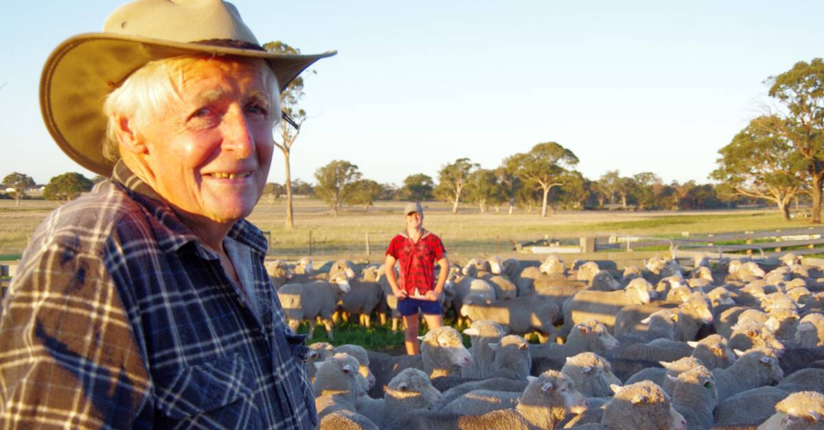 Generations: Peter Robbins and grandson Angus Roberts with weaner Merino lambs, at Meerlieu.