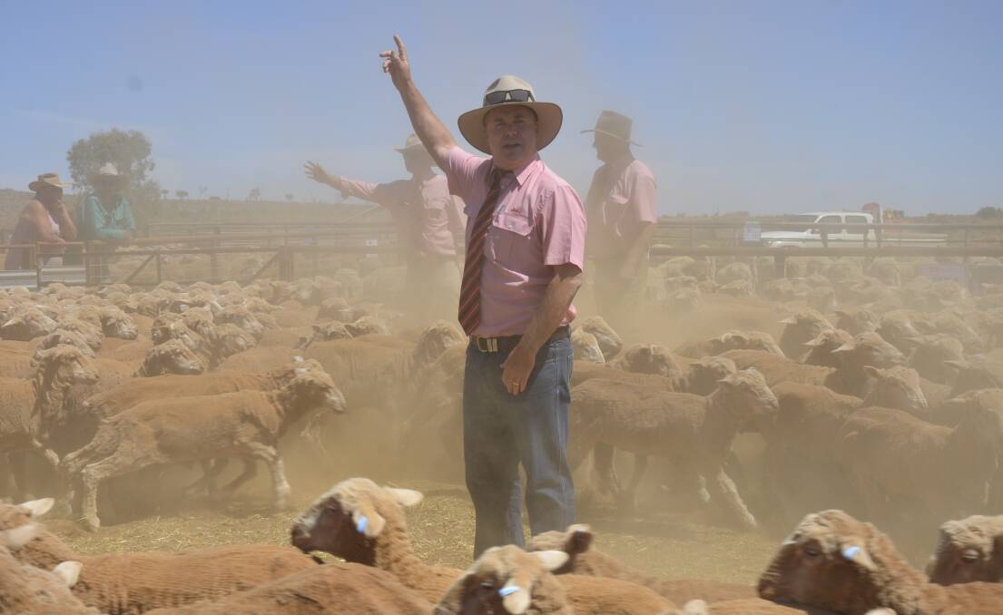 Damien Webb, Elders Livestock Sales Manager, SA, said mutton prices had remained at the $4.00-$4.50 a kilogram level over the spring period.