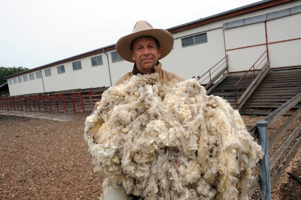 Tom Holt with a Dohne fleece on Coonong Station, Urana, NSW.