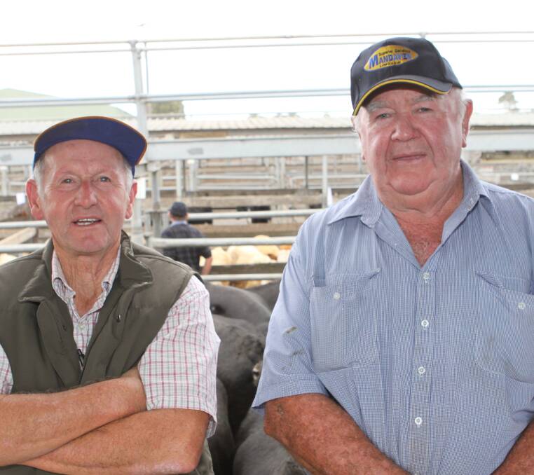 Brian Leahy of Garvoc and Graham Sutherland of Coragulac near Colac at the March 2016 store cattle sale at Warrnambool.