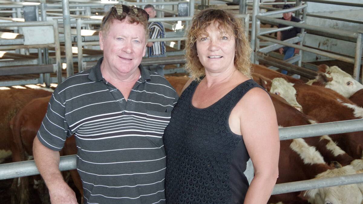 Happy sale: Jim and Jane Gray, Wy Yung, 
bought these Hereford steers, 355kg, $1085, 
at Bairnsdale. Vendor was Chris and Mary 
Wheeler, Buchan. Photo: Jeanette Severs.