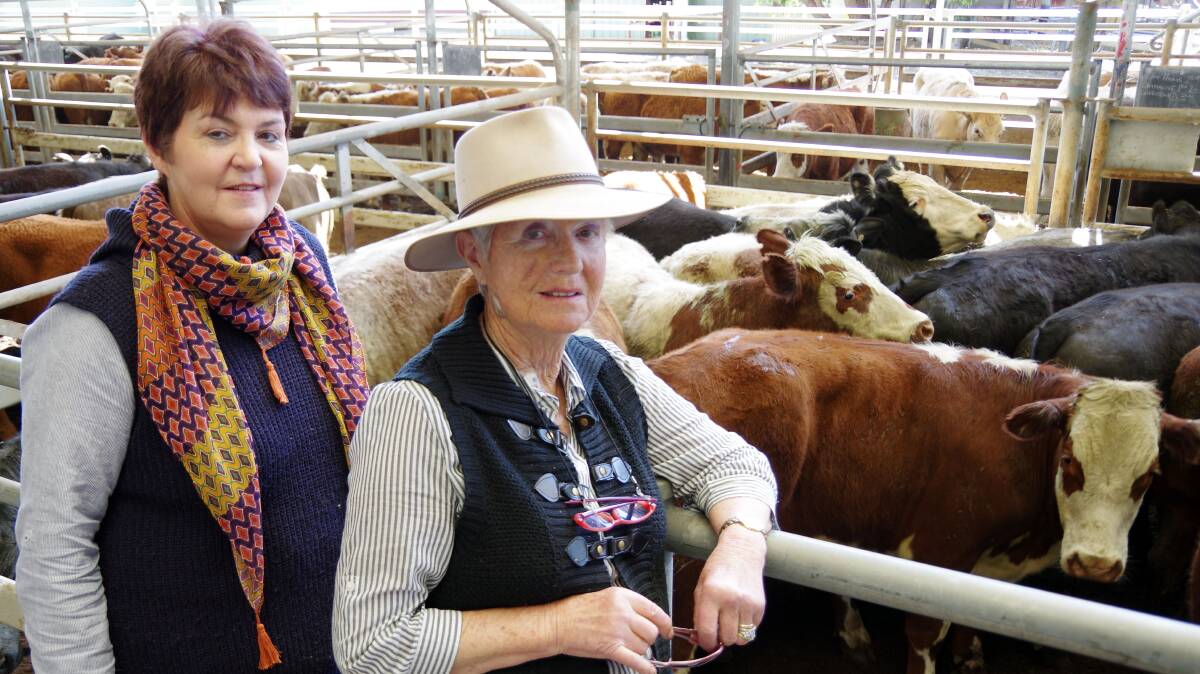 Top sale: Heather Shandley, Mirboo North and Glenys Shandley, Leongatha, bought 27 steers at Bairnsdale last Friday.