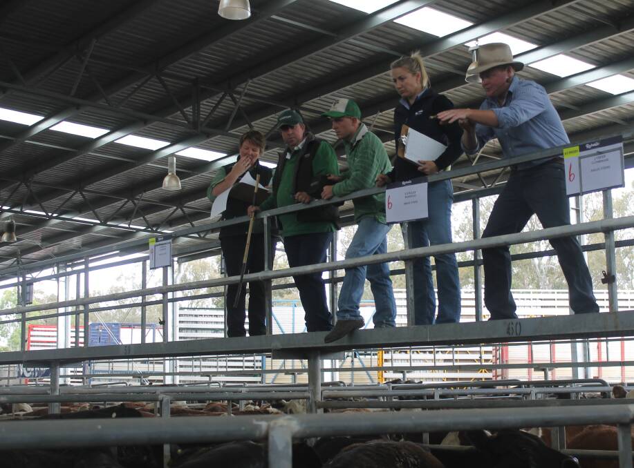 Rodwells auctioneer Adam Mountjoy calls for bids at Yea's store cattle sale on Friday.
