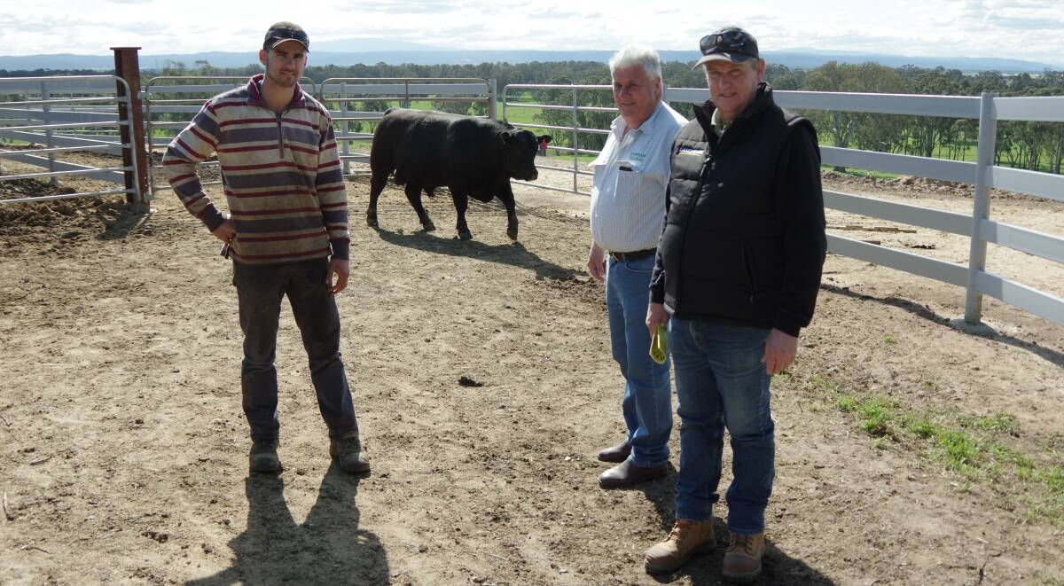 Leawood Angus stud manager, Luke Stuckey, Lot 6, one of the three bulls that sold at $6000, and Landmark agents Rodney Perkins and Alan Pell, representing the successful bidders.