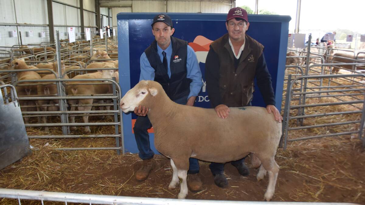 Simon Beattie, Derrynock, with Simon Male, Aberdeen Poll Dorsets, with the $17,000 top-priced ram.