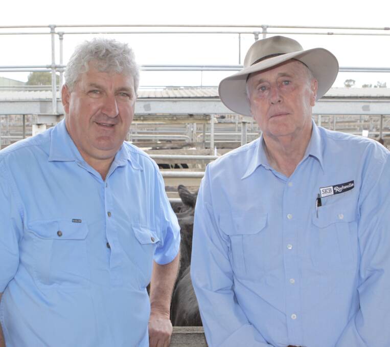 John Murphy of Hawkesdake with Saffin Kerr Bowen Rodwells' agent Jim Oliver at the March store cattle sale at Warrnambool.