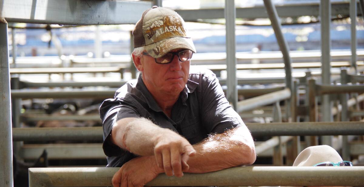 Colin Stockdale, Traralgon feedlotter, points to the cattle he wants to buy at Bairnsdale store cattle sale on Friday. Mr Stockdale bought five steers, $1350. 