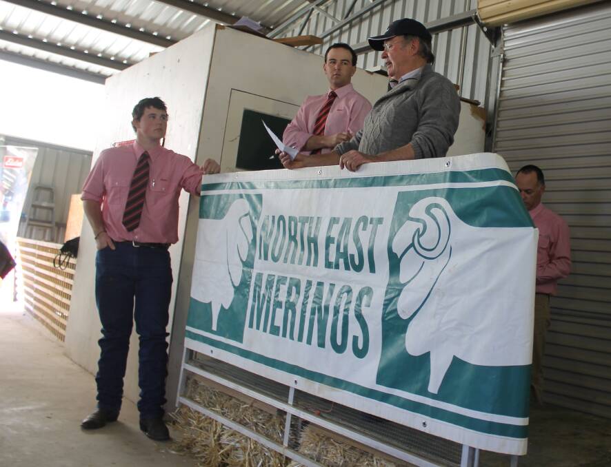 The North East Merino Ram Sale is expected to showcase some excellent rams on August 9.