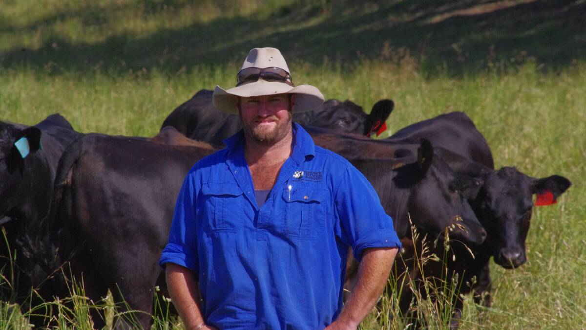 Snowy River Angus farm manager Trent Howell said 60 per cent of the breeding herd was calved and raised on the limestone country at Buchan.