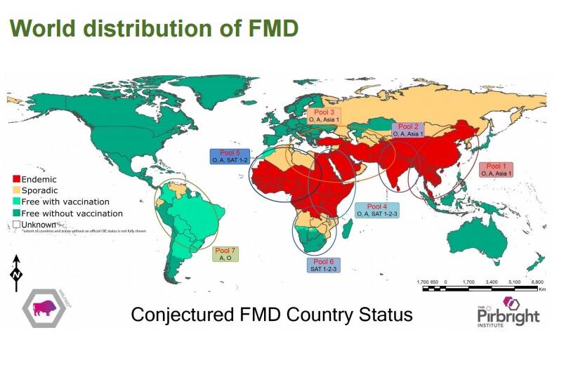 The world distribution of Foot and Mouth Disease. Source; Agriculture Victoria. 