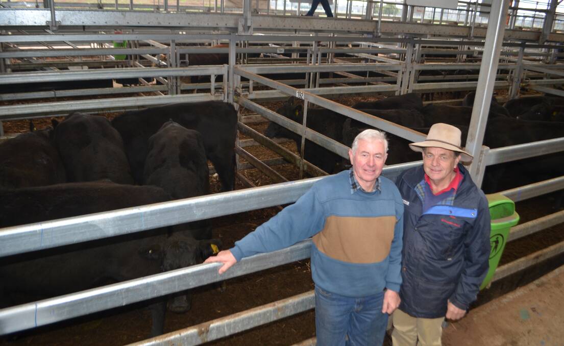 Peter Jervois, Bungowannah, with Stephen Paull, Paull and Scollard, Wodonga, sold 20 Angus cows, Rossrich-blood rising three years and PTIC for $2300. 
