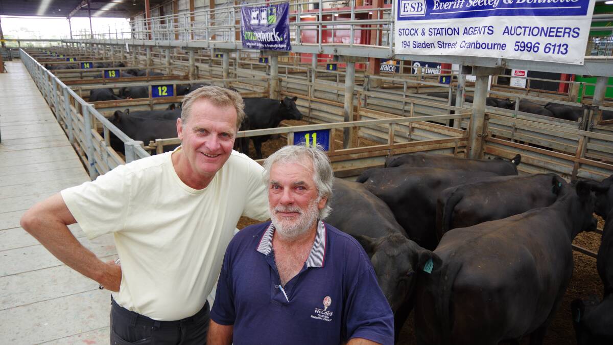 Dr Chris Holland and Jeff Wilson, business partners and neighbouring farmers, make up Aeolus Nominees which has been selling heifers at the Pakenham feature female sale for 25 years. On Friday, their draft of 2.5yo PTIC heifers made to $2700, twice. 