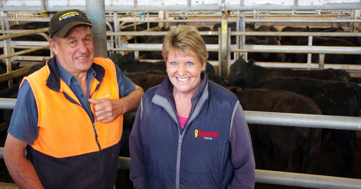 good price: Stony Creek's John Gillam sold these 11 month Angus heifers, Dunoon bloodline, $990, at last week's Leongatha store cattle sale. 