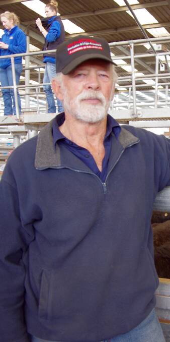 Ray Holloway, Wattle Bank, bought two pens of Angus steers, including the first pen of the annual draft from Elm Valley Pty Ltd, Tarwin Lower.