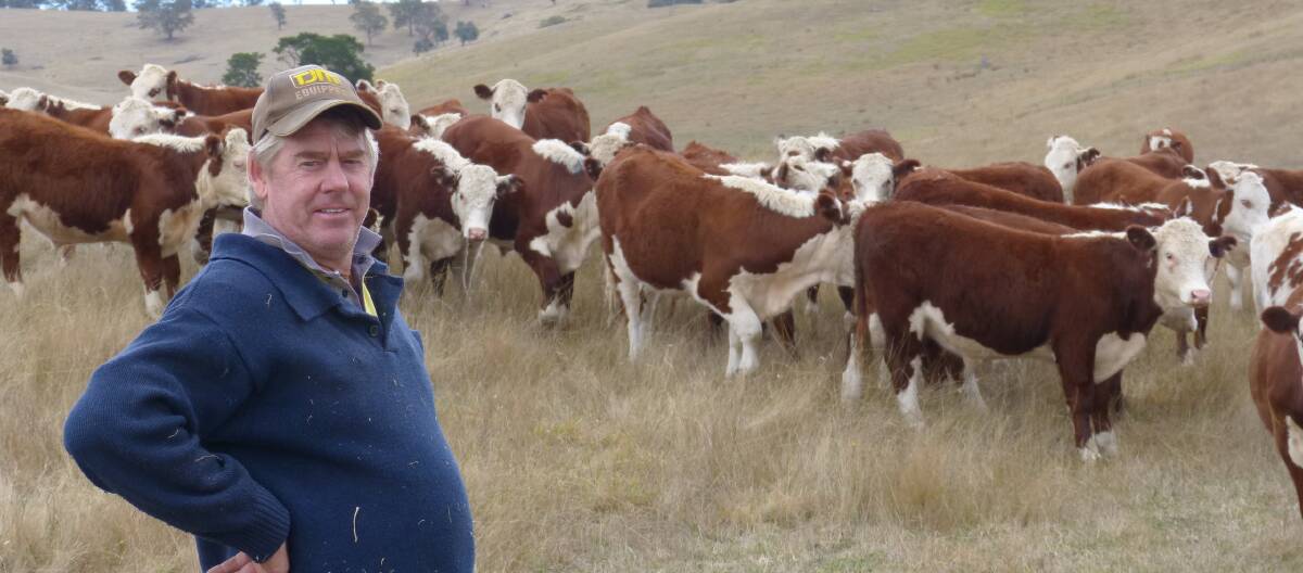 David Young is a proud breeder of Hereford cattle, which he undertakes on his property at Ensay.