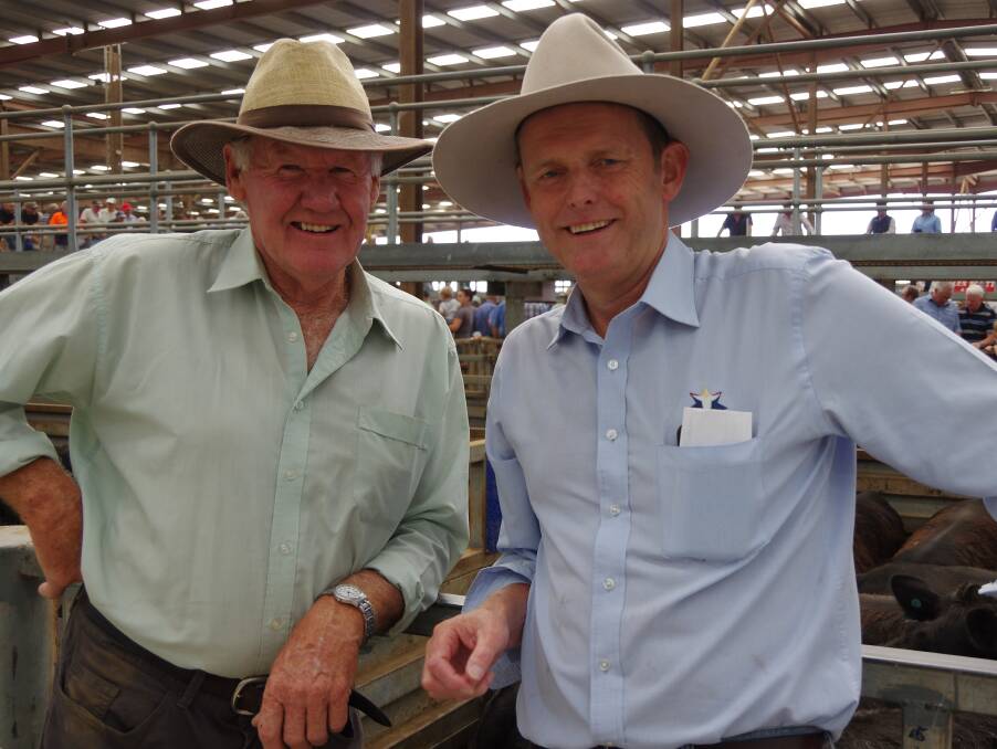 Graham Bowman and Mark Dwyer, G&K O'Connor Abattoir looking at grown steers that sold to $2000. 