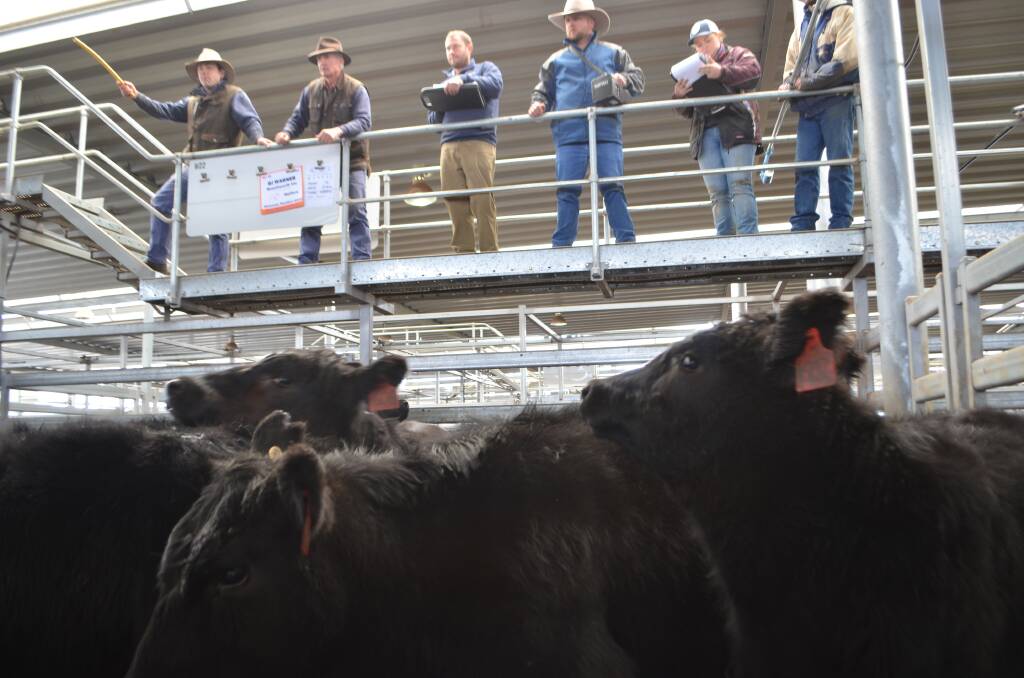 Cattle made good money at Wodonga last week with cows reaching $2500. 