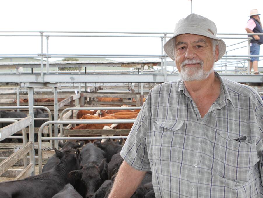 Barry Davis of Lyons near Heywood at the Warrnambool March store cattle sale. Pictures -  Everard Himmelreich 