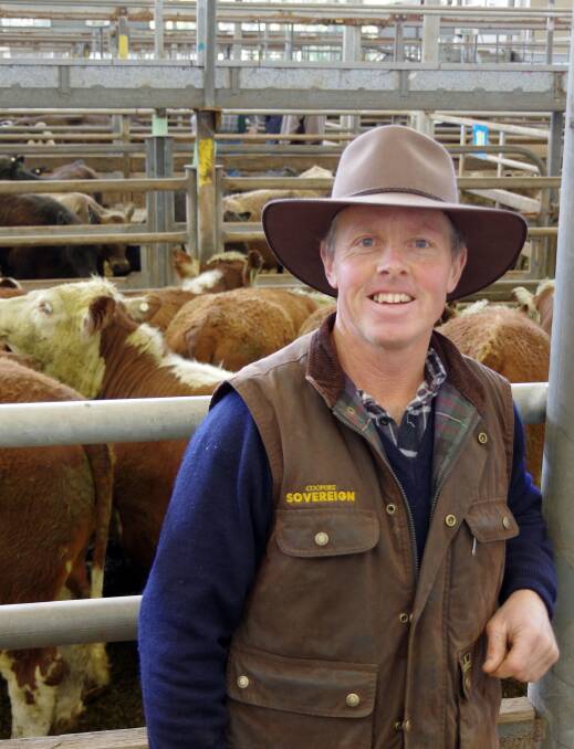 Gary Anthony, Meeniyan, sold a draft of 12mo Hereford steers (pictured) and heifers at Leongatha on Thursday. The tops of the steers, 405kg, returned $1710. "We sold early because it's good money. We sold last year's tailenders at 16mo in January and the tops, 414kg, made $1305," Mr Anthony said. 