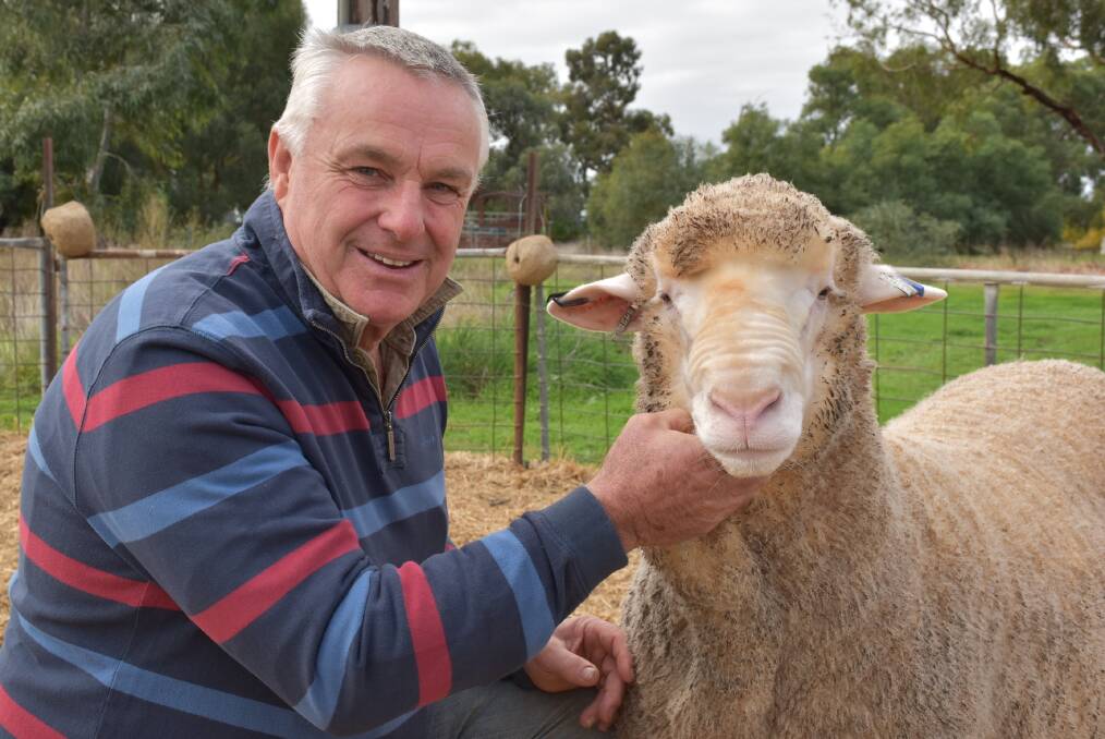 Taking the show forward: The Australian Sheep & Wool Show is home to Australia’s largest fibre market and national woolcraft competitions.