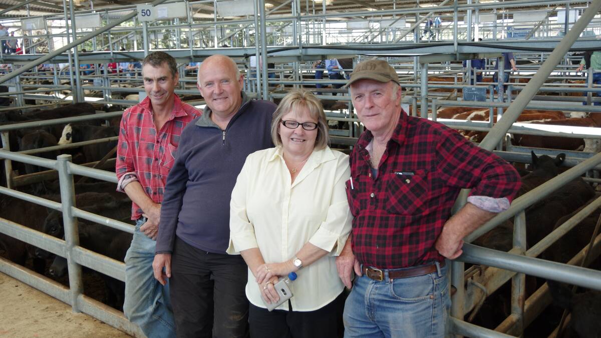 Gary Cornall, stock manager, Riley Earthmoving, Colin and Kerry Nelson, Broadlands, and Peter Riley, Riley Earthmoving, Clifton Creek, with two pens of 6mo Angus steers that sold to $990 at Bairnsdale. With Hazeldean and Banquet bloodlines, the steers were bought by the Nelsons to grow out; and sold by Peter Riley on Friday.
