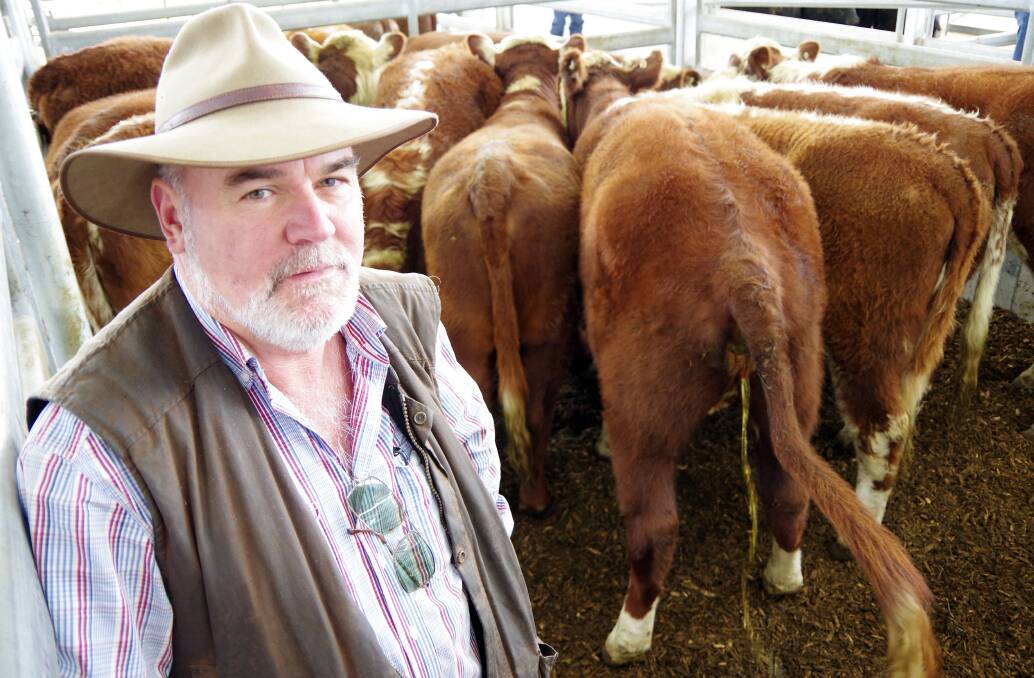 Happy buyer: Brian Higgins, Glenmaggie, went home with this pen of 15-18mo Hereford heifers at Sale's store cattle sale on Friday. The Oakbank Pastoral heifers sold to $1360; this pen was bought at $1330 by Mr Higgins.