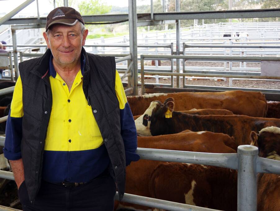 Bill Atkinson was at Bairnsdale on Friday to watch Simon and Michelle Atkinson's cows and calves sell to $1860/pair. This pen sold at $1780.