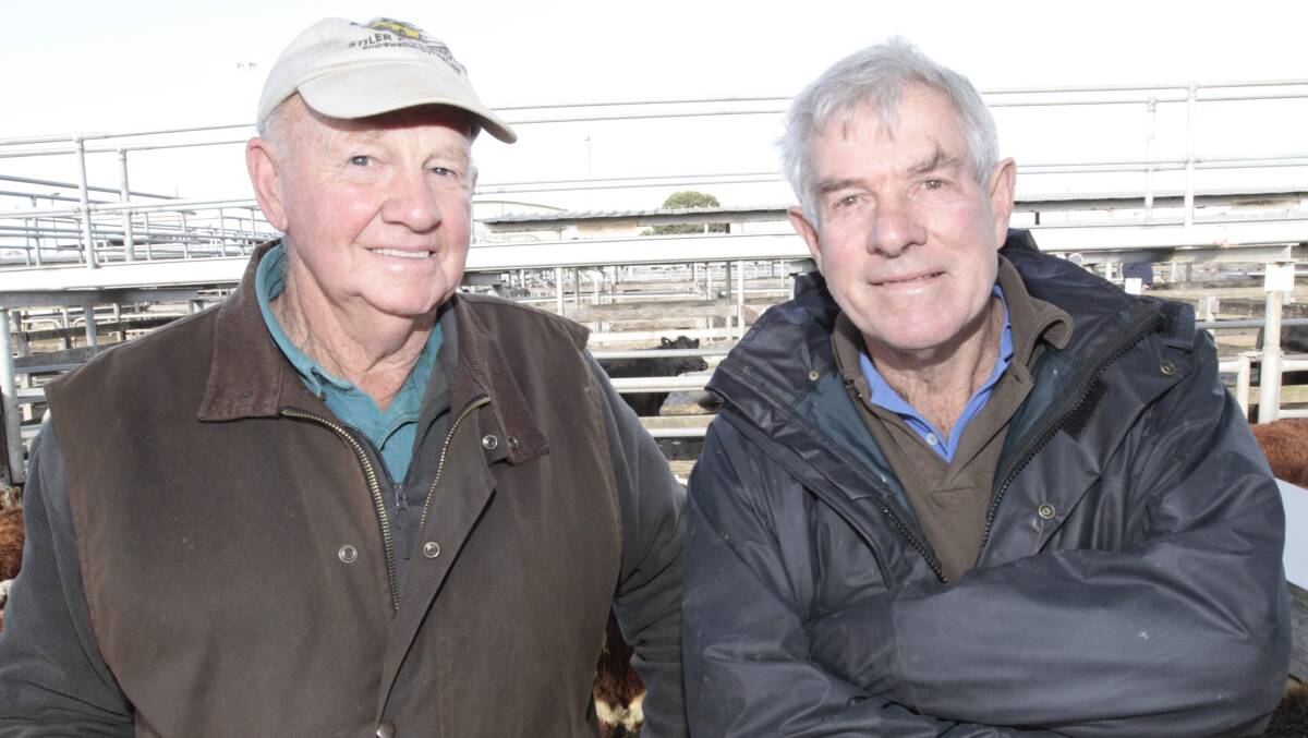 All smiles: Just looking at the Warrnambool July store cattle sale are Neil Anderton (left), Warrnambool, and David Goldstraw, Naringal. 