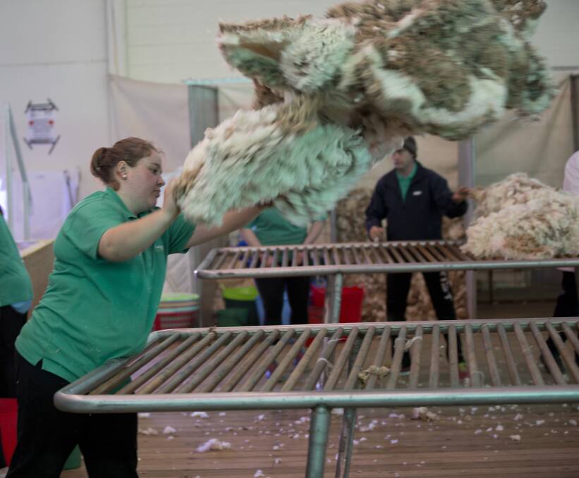 Finals: The open wool handling state final will also be a fast-paced event for spectators on the Sunday afternoon.