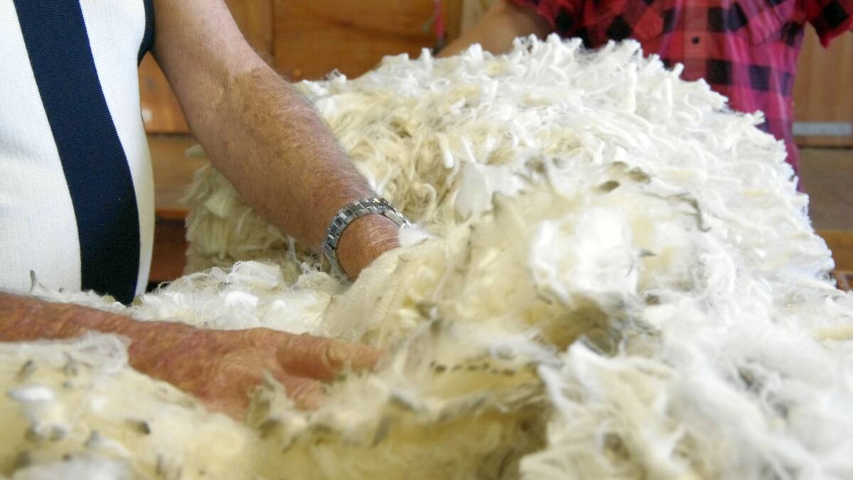 Three generations of wool growers