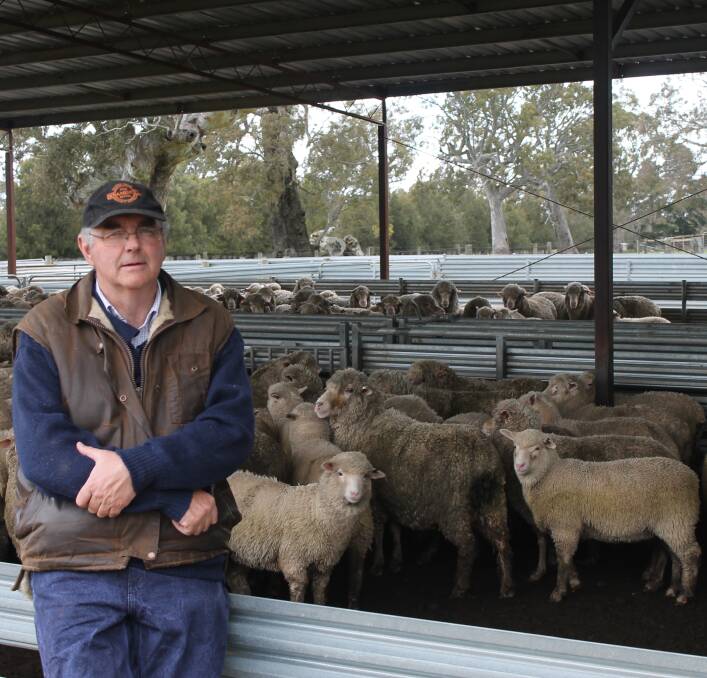 DELIGHT: Andrew Dufty, Melville Forest, with his Coopworth cross lambs. Photo: Dianna Branson.