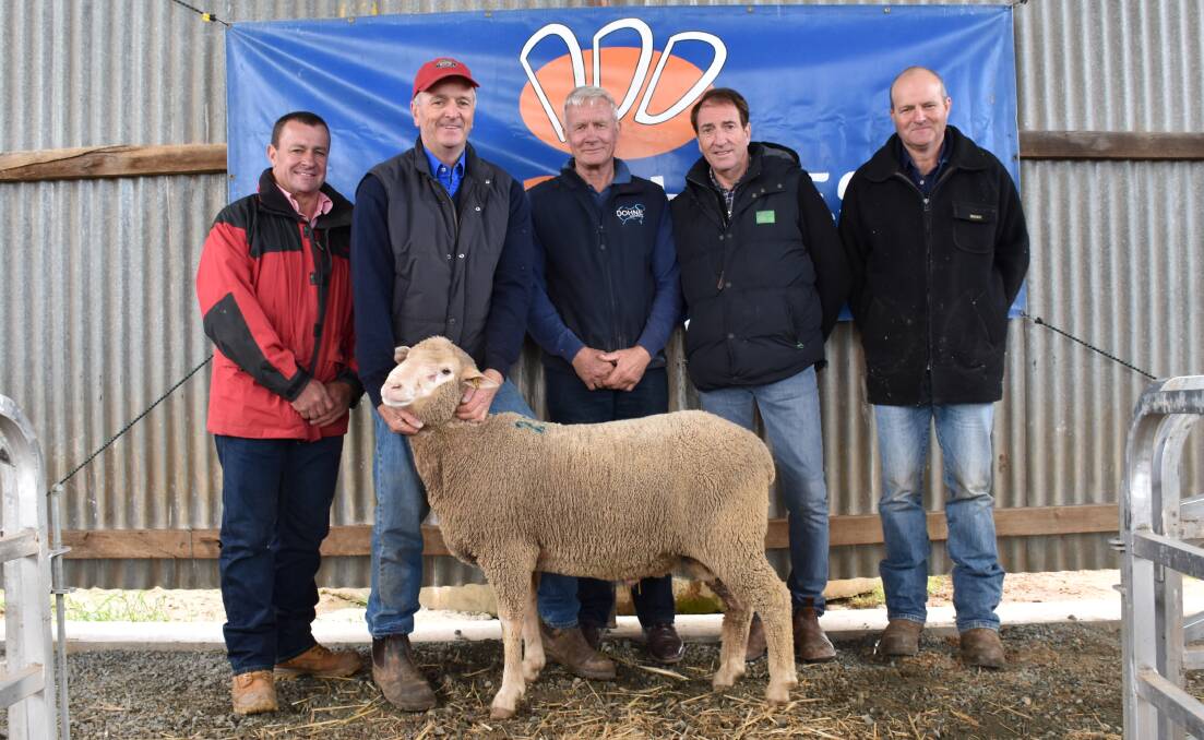 TOP-PRICED RAM: Anthony Pogue, Elders Echuca, Bruce Barnes-Webb, DD Dohnes, buyer Alex Leach, Glenlea Dohne Stud, David Shelmerdine and Jason Southwell, DD Dohnes, with the top-priced ram. The ram was purchased for $8000 and was commended for having the "right balance of meat and wool". Photo: Joely Mitchell.