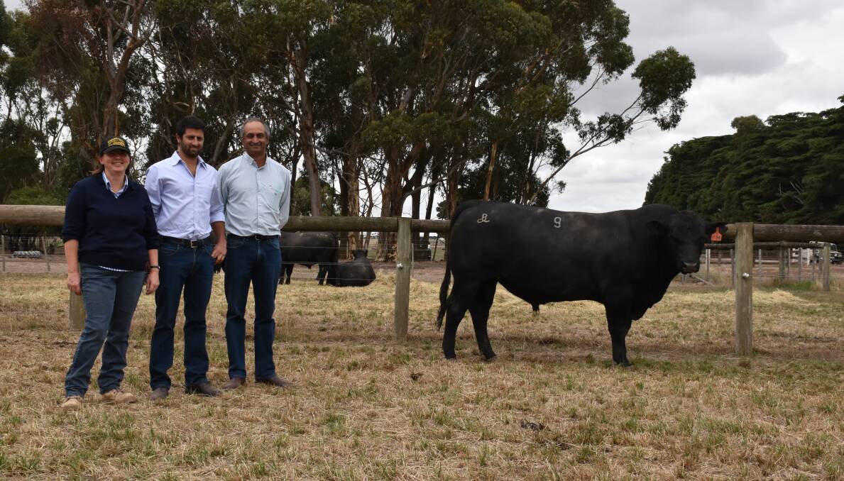 TOP: One of the top price bulls, with principal Wendy Kelly, and buyers Chris and David Sondhu, Harrow.
