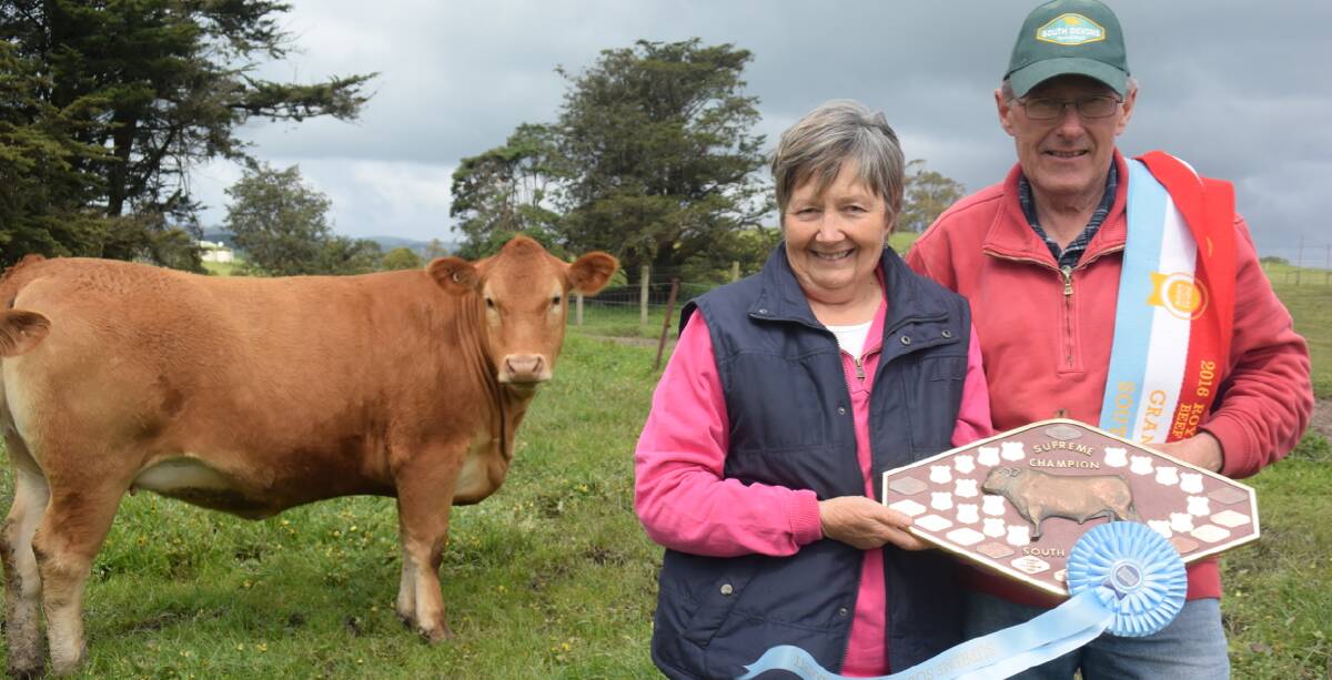 END OF AN ERA: Chris and Leonie Daley are retiring from farming after breeding and promoting South Devon cattle for 20 years. Photo: Justin Conlan.