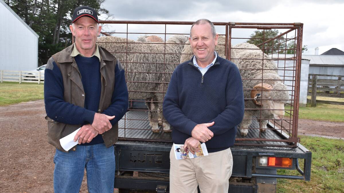 Andrew Pickford, ‘Yeovil’, Clunes, bought four rams at the sale, with the help of Arcadian Wool auctioneer Nick Laurie.