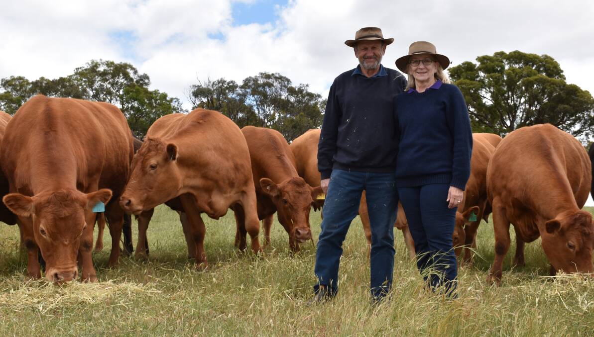Bruce and Sue Griffiths run 103 registered breeders, a few commercial cattle, and about 200 first-cross sheep, on their three properties that collectively span about 300 hectares.