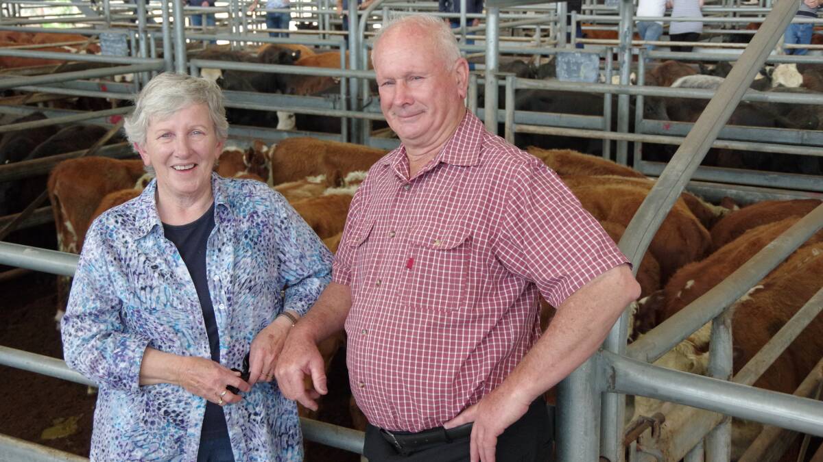 Mary and Chris Wheeler, Buchan, sold a line of 12-month-old Angus and Hereford steers and heifers, including these females, at $790, at Bairnsdale on Friday; their steers sold to $1560.
