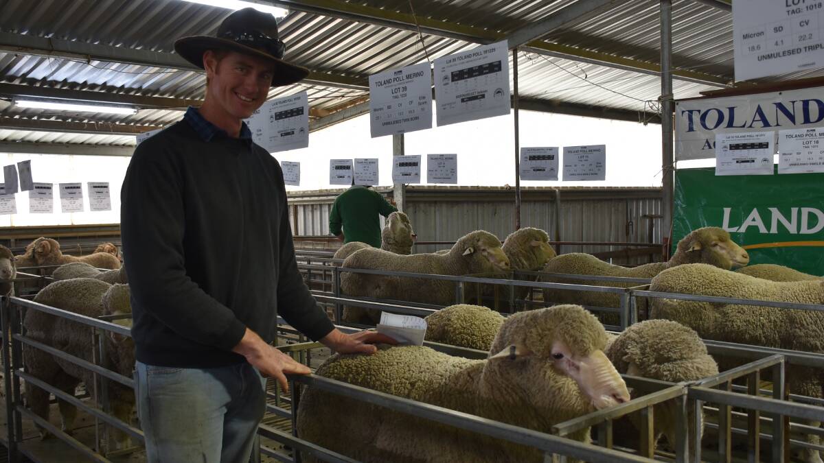 The University of Melbourne (Dookie College) farm manager John Geddes, in front of some of his 10 ram purchases.