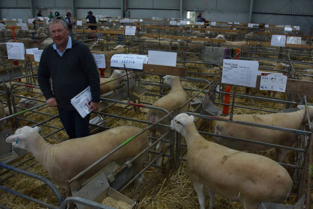 Laurie Fairclough, York Stud, York, WA, with some of the 10 White Suffolk ewes he purchased at the sale.