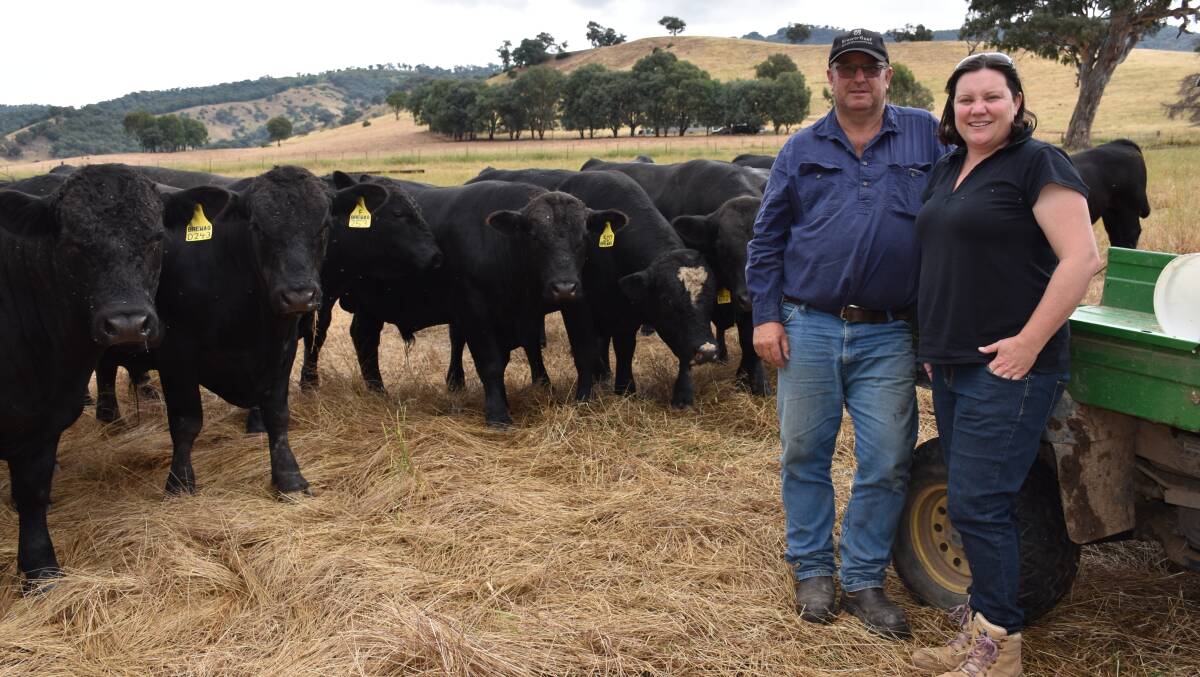 Mr and Ms Brewer currently run about 400 Black Simmentals on 10 properties that they own and lease within a 120 kilometre radius of their home base in Tallangatta, totalling about 850 hectares.
